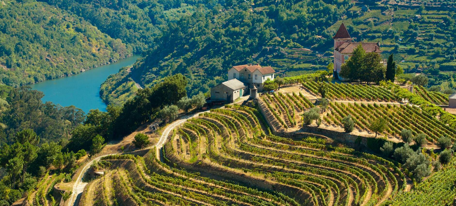 Foto UNESCO Welterbe Douro-Tal